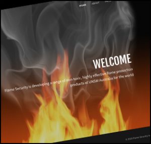 Flame Security International (FSI) is a fire safety company