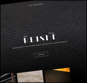 MycoWorks is a biotechnology company that makes fine leathers from mycelium